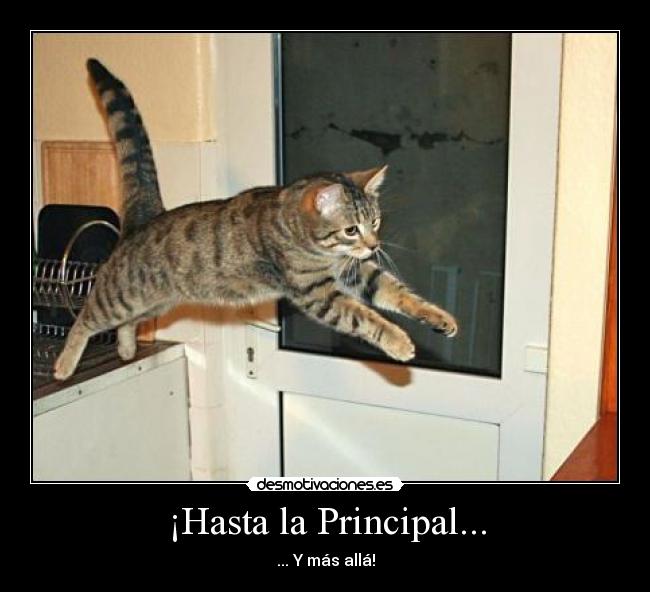 ¡Hasta la Principal... - 