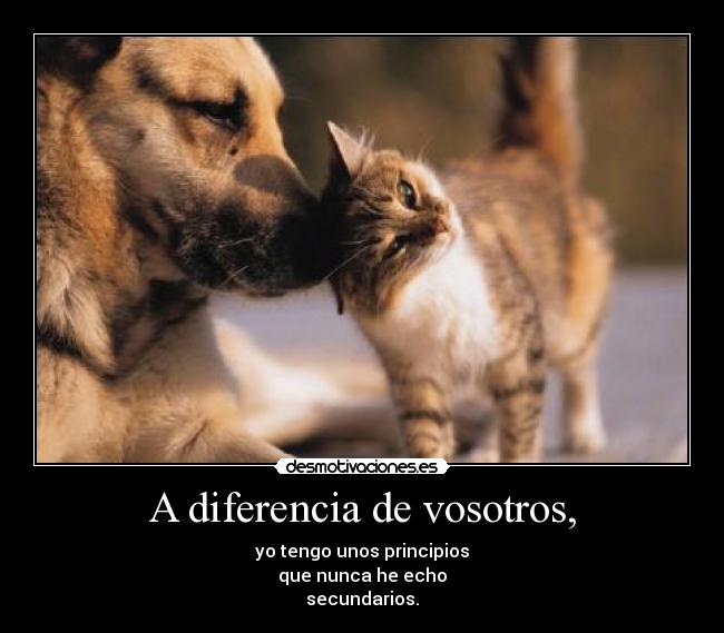 A diferencia de vosotros, - yo tengo unos principios
que nunca he echo
secundarios.