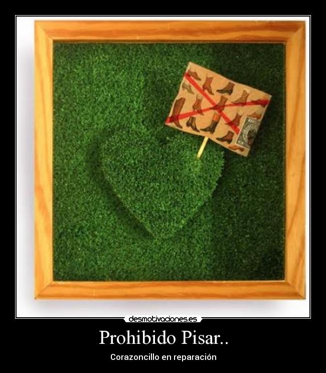 Prohibido Pisar.. -