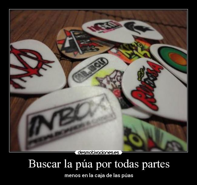 Buscar la púa por todas partes -