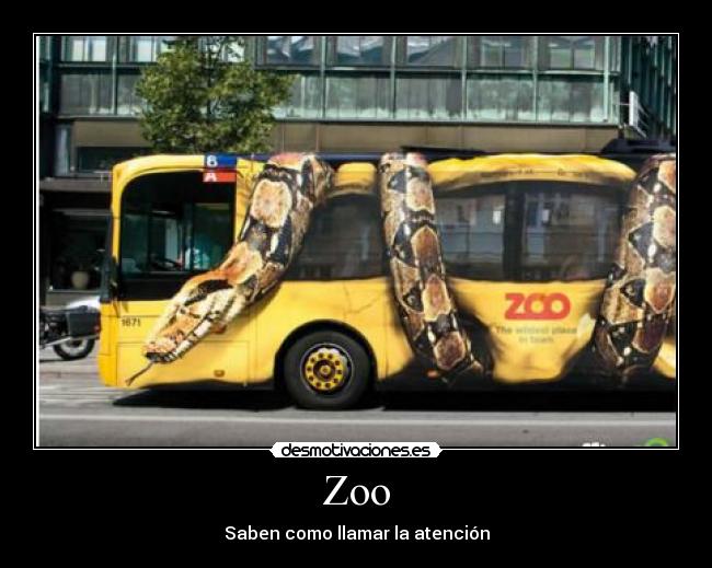 Zoo -