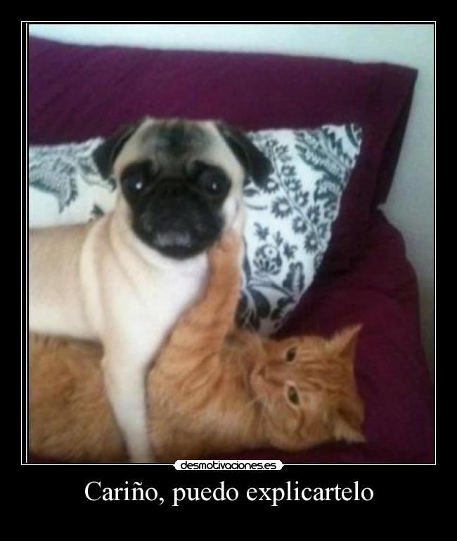 Cariño, puedo explicartelo -