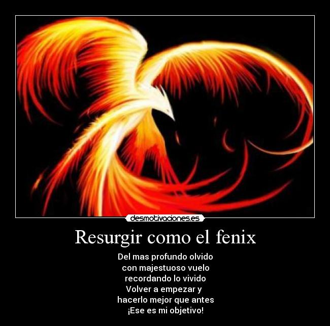 Resurgir como el fenix - Del mas profundo olvido
con majestuoso vuelo
recordando lo vivido
Volver a empezar y 
hacerlo mejor que antes
¡Ese es mi objetivo!