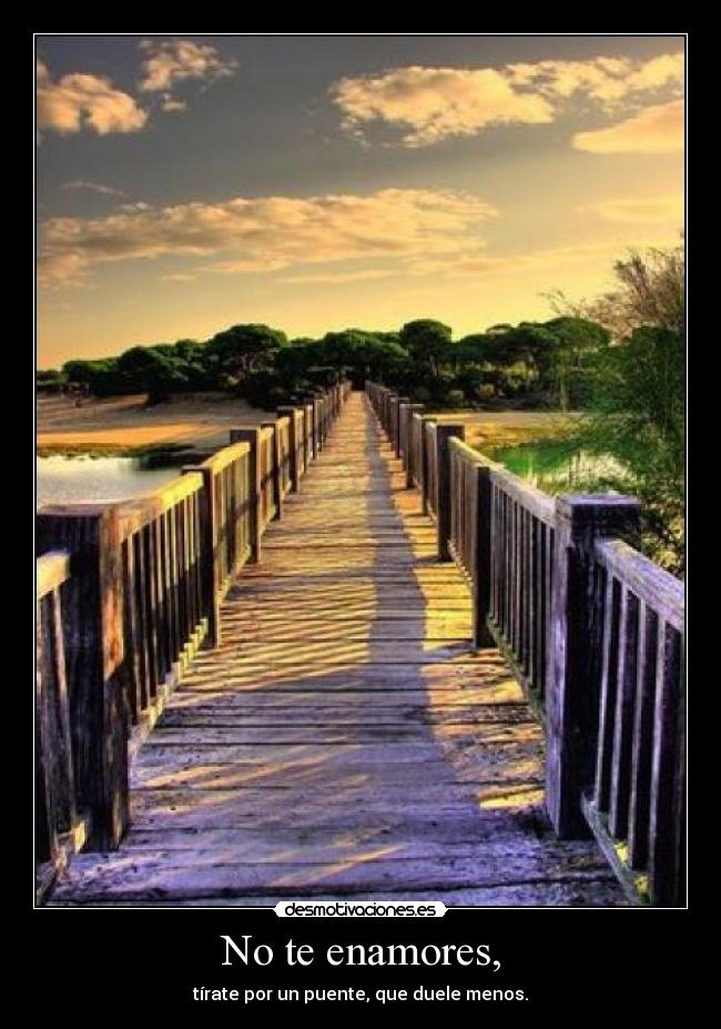No te enamores, - tírate por un puente, que duele menos.