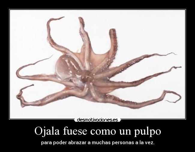 Ojala fuese como un pulpo - para poder abrazar a muchas personas a la vez.
