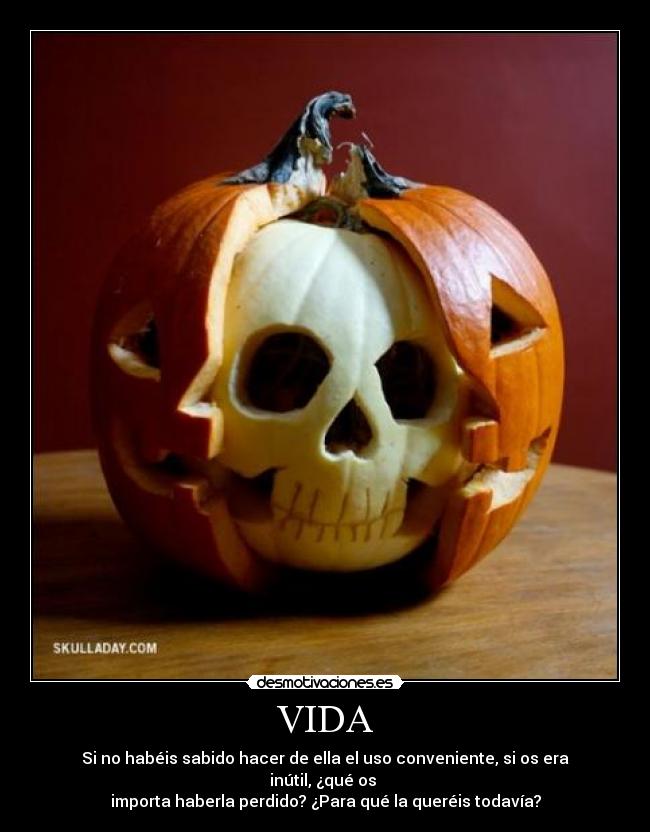 VIDA - Si no habéis sabido hacer de ella el uso conveniente, si os era inútil, ¿qué os 
importa haberla perdido? ¿Para qué la queréis todavía?