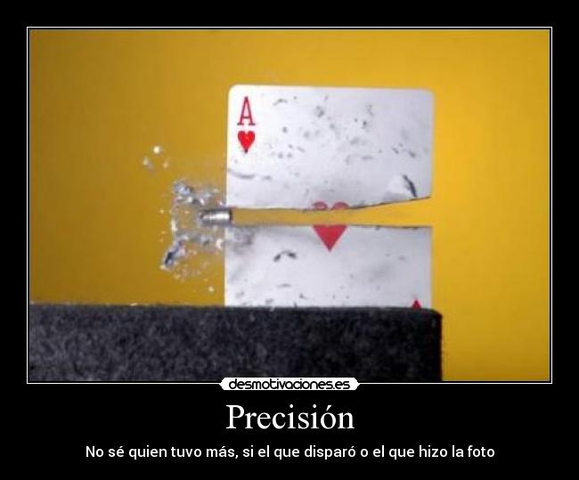 Precisión - No sé quien tuvo más, si el que disparó o el que hizo la foto