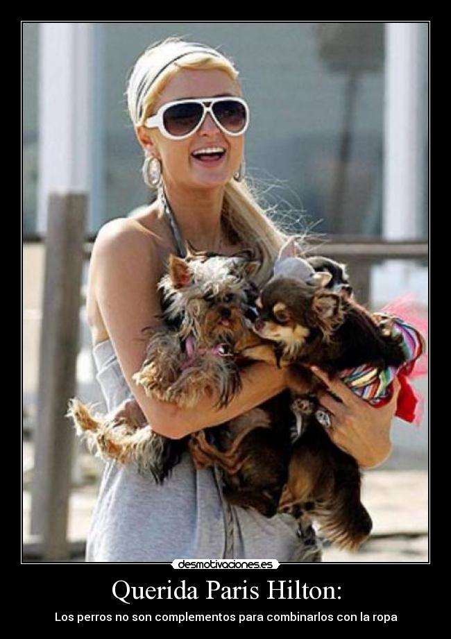 Querida Paris Hilton: - Los perros no son complementos para combinarlos con la ropa