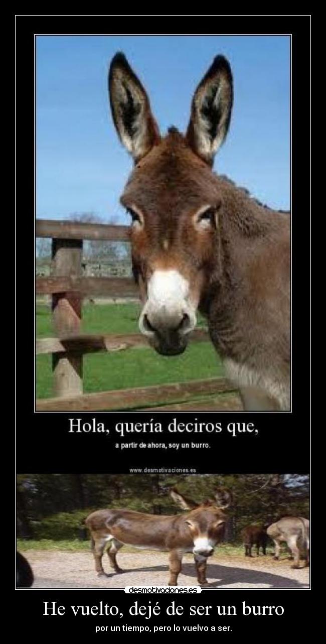 He vuelto, dejé de ser un burro - por un tiempo, pero lo vuelvo a ser.