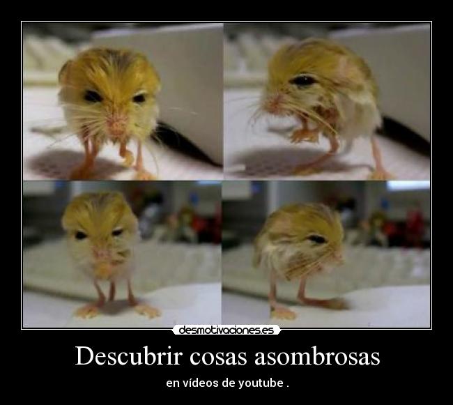 Descubrir cosas asombrosas - en vídeos de youtube .