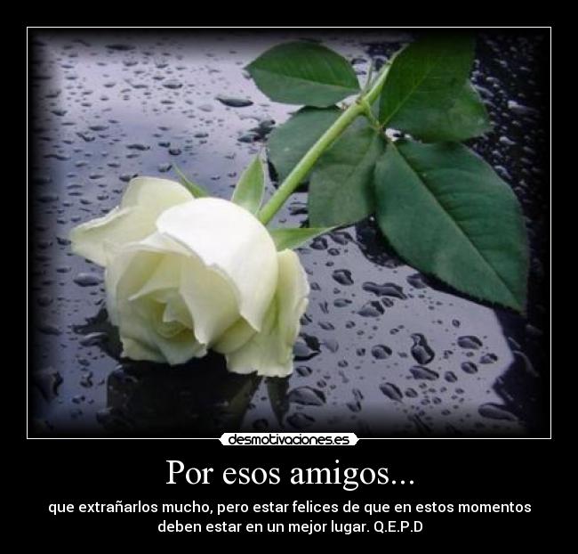 Por esos amigos... -