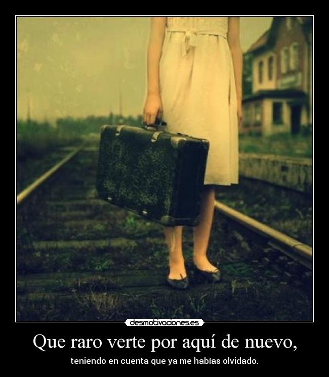 Que raro verte por aquí de nuevo, - teniendo en cuenta que ya me habías olvidado.