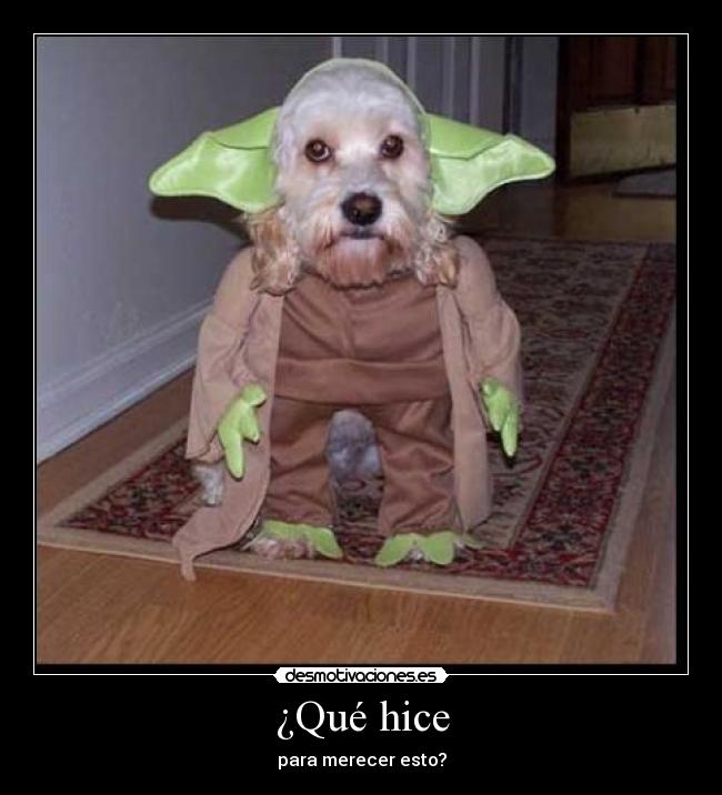 carteles perro disfrazado desmotivaciones