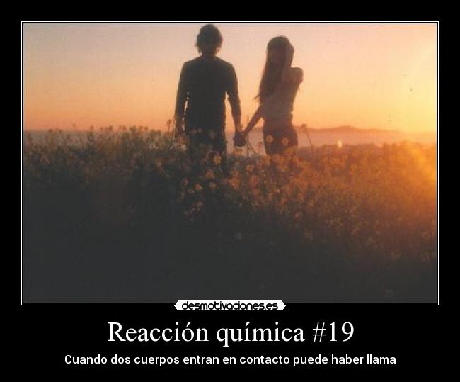 Reacción química #19 -