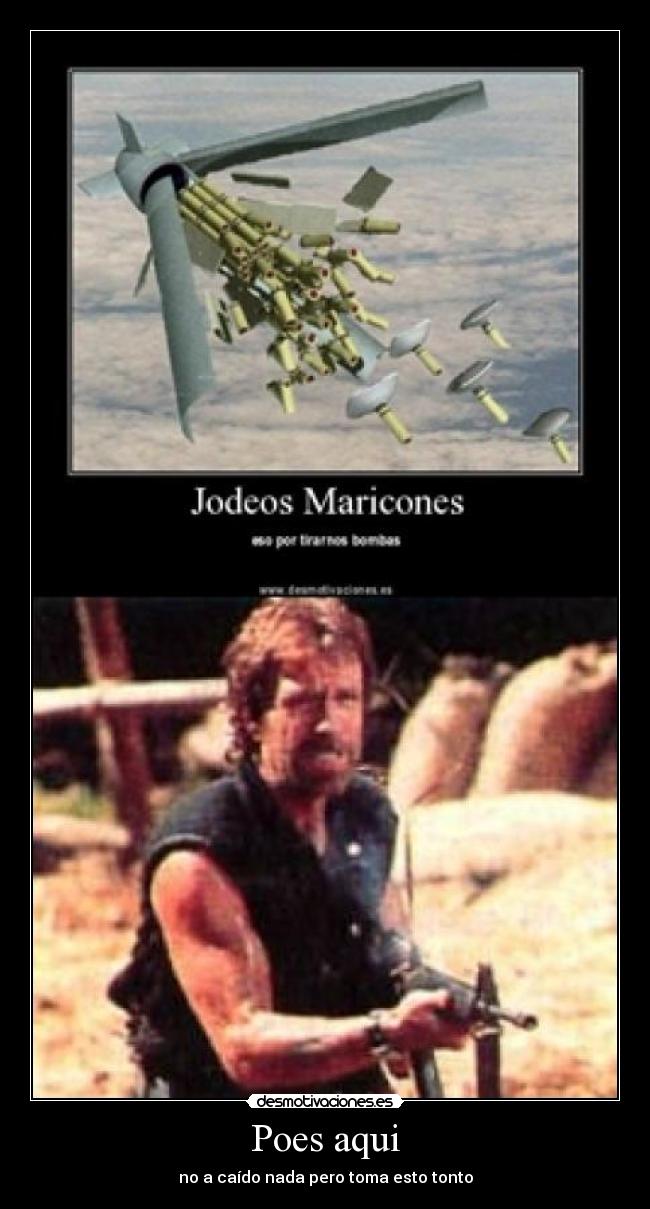 Poes aqui - no a caído nada pero toma esto tonto