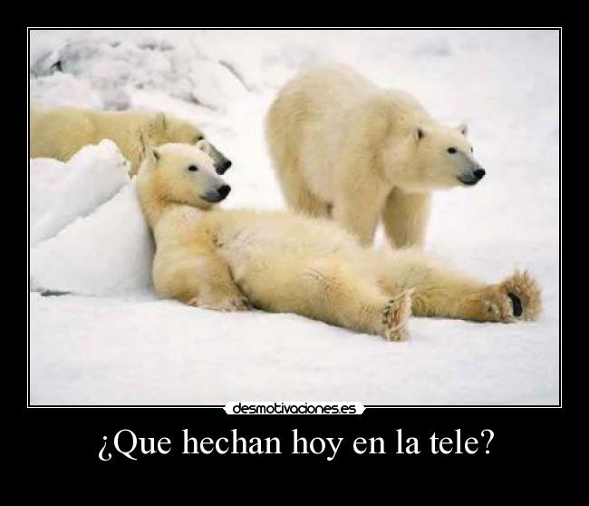¿Que hechan hoy en la tele? -