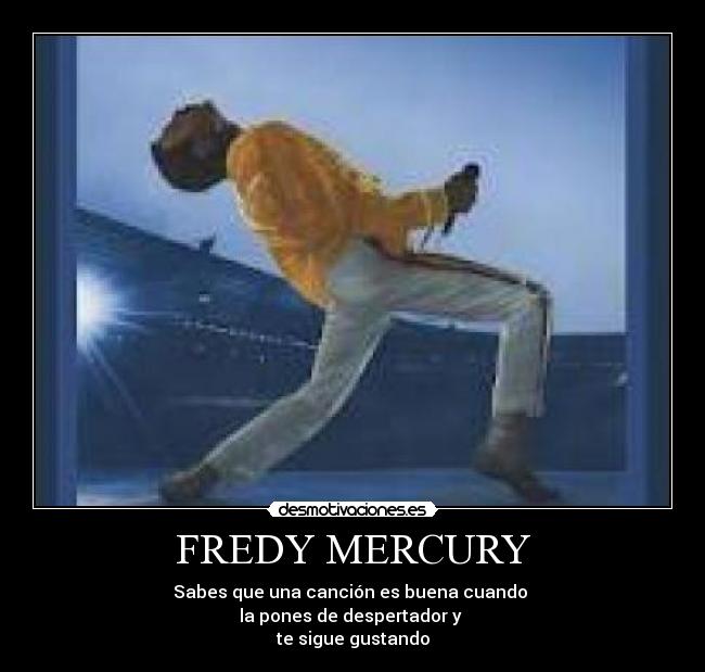 FREDY MERCURY -