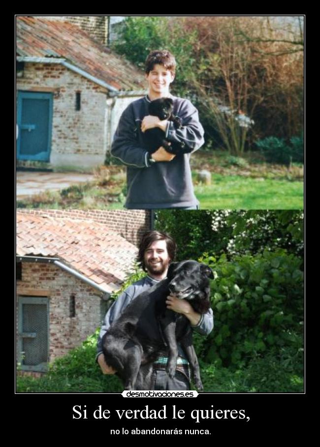 Si de verdad le quieres, -