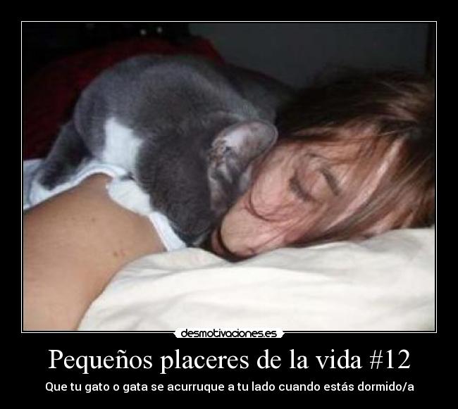 Pequeños placeres de la vida #12 - 
