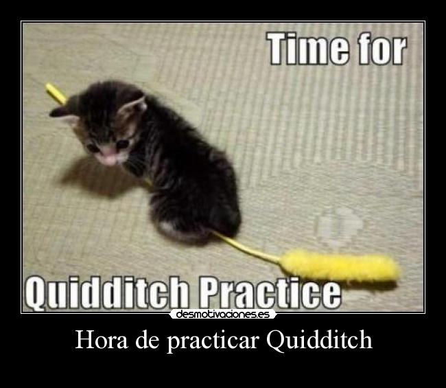 carteles harry potter desmotivaciones