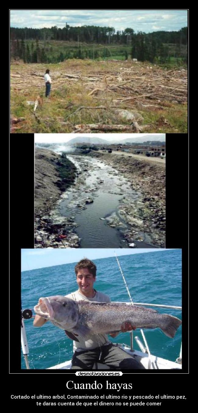 Cuando hayas - Cortado el ultimo arbol, Contaminado el ultimo rio y pescado el ultimo pez,
te daras cuenta de que el dinero no se puede comer