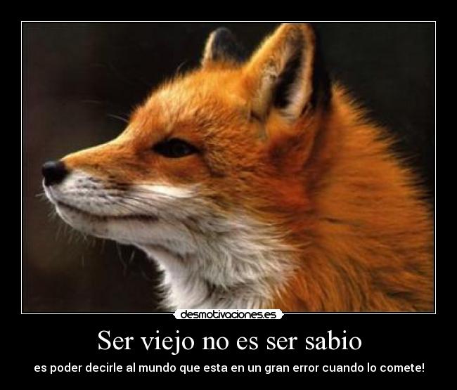 carteles zorro sabio viejo error arreglar desmotivaciones