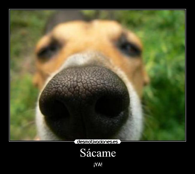 Sácame - ¡YA!