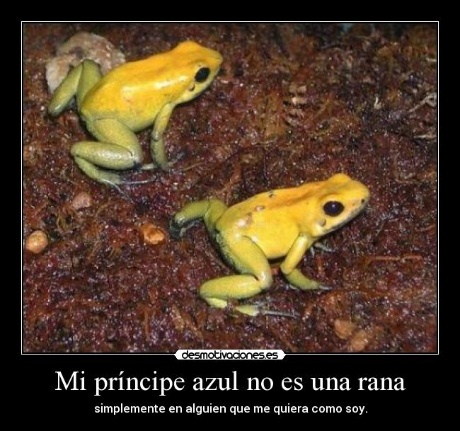 Mi príncipe azul no es una rana -