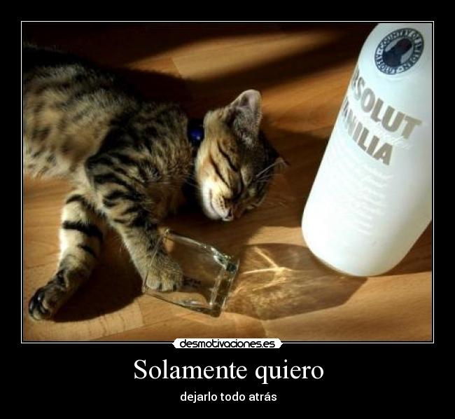 Solamente quiero - 