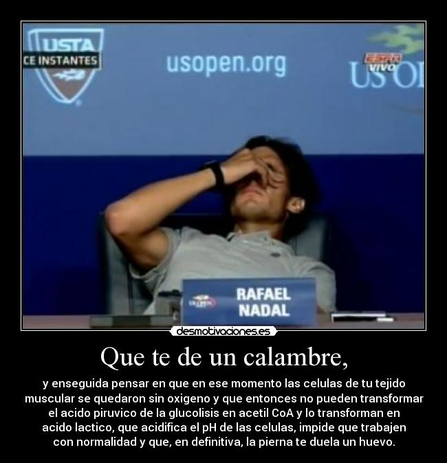 Que te de un calambre, - y enseguida pensar en que en ese momento las celulas de tu tejido
muscular se quedaron sin oxigeno y que entonces no pueden transformar
el acido piruvico de la glucolisis en acetil CoA y lo transforman en
acido lactico, que acidifica el pH de las celulas, impide que trabajen
con normalidad y que, en definitiva, la pierna te duela un huevo.
