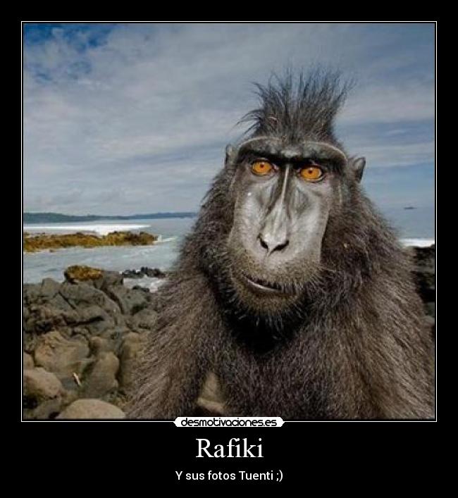 Rafiki - 