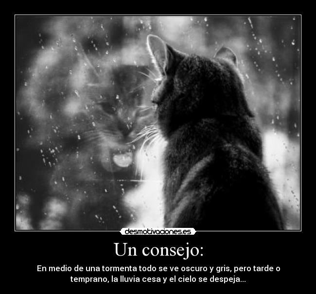 Un consejo: - En medio de una tormenta todo se ve oscuro y gris, pero tarde o
temprano, la lluvia cesa y el cielo se despeja...