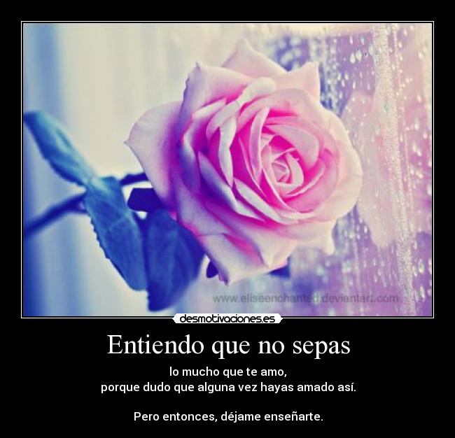 Entiendo que no sepas - 