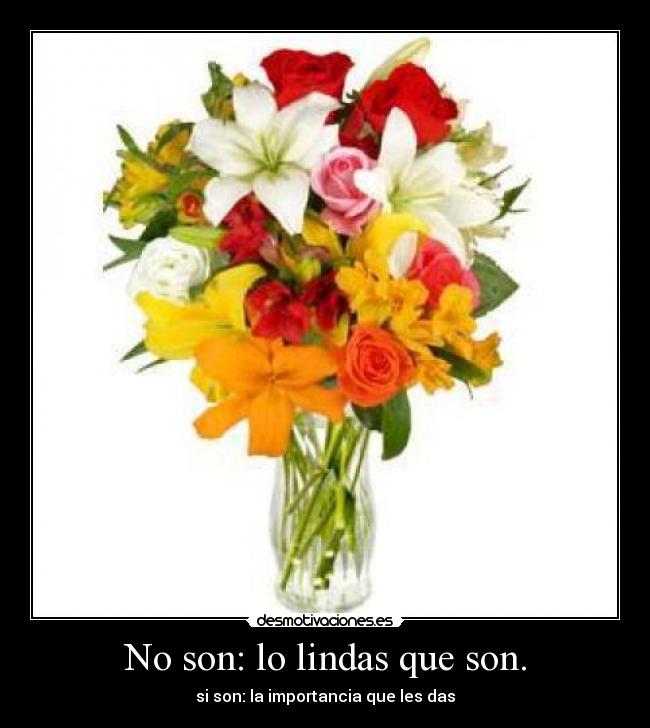 No son: lo lindas que son. - si son: la importancia que les das