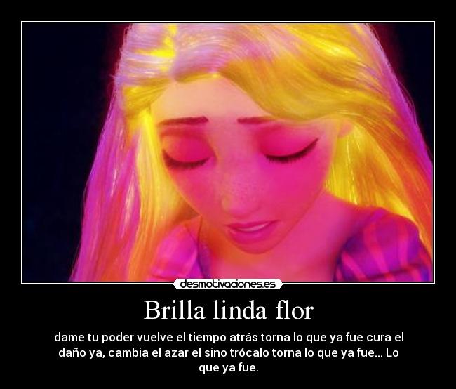 Brilla linda flor -