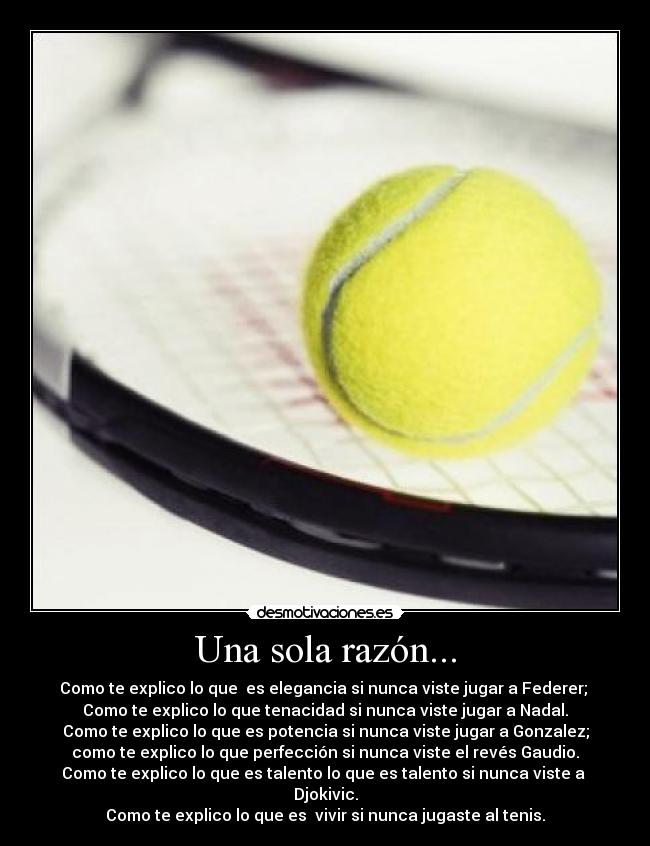 Una sola razón... - Como te explico lo que es elegancia si nunca viste jugar a Federer;
Como te explico lo que tenacidad si nunca viste jugar a Nadal.
Como te explico lo que es potencia si nunca viste jugar a Gonzalez;
como te explico lo que perfección si nunca viste el revés Gaudio.
Como te explico lo que es talento lo que es talento si nunca viste a
Djokivic.
Como te explico lo que es vivir si nunca jugaste al tenis.