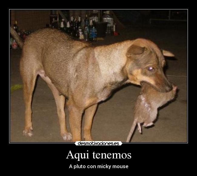 Aqui tenemos - A pluto con micky mouse