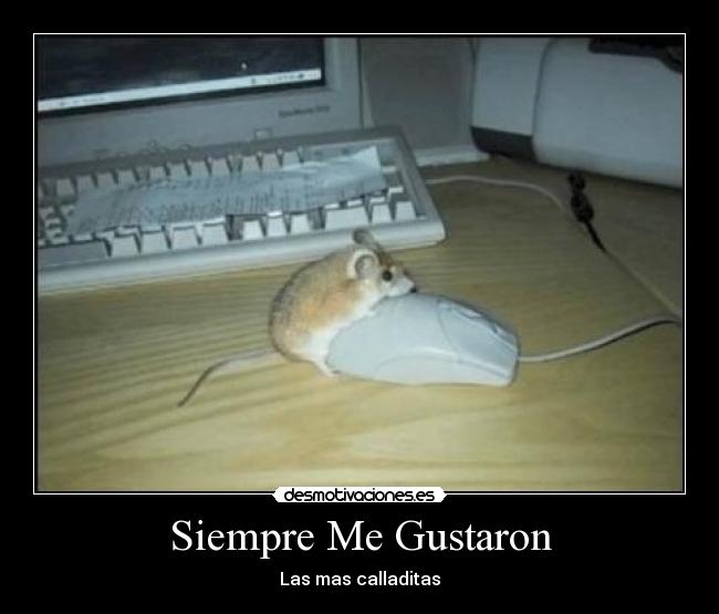 Siempre Me Gustaron -