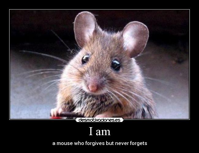 I am - a mouse who forgives but never forgets
