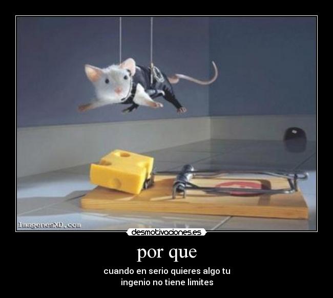 por que - cuando en serio quieres algo tu
ingenio no tiene limites