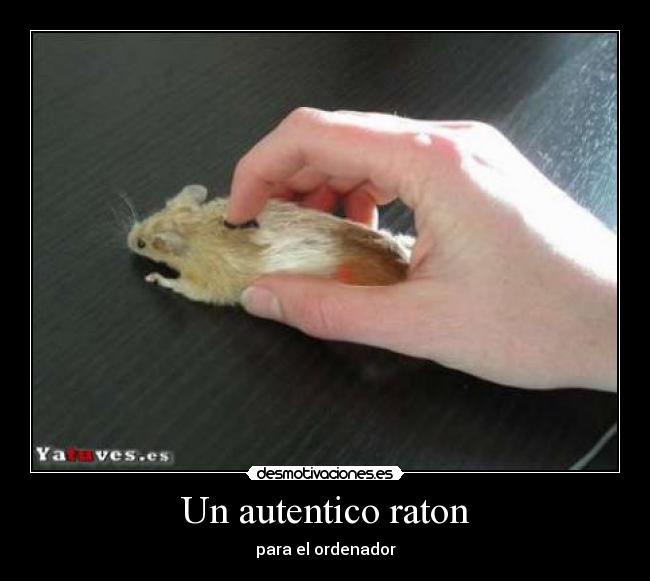 carteles desmotivaciones