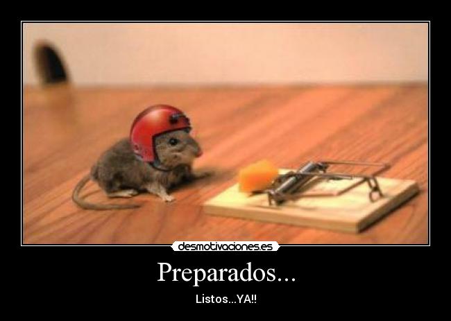 Preparados... - Listos...YA!!