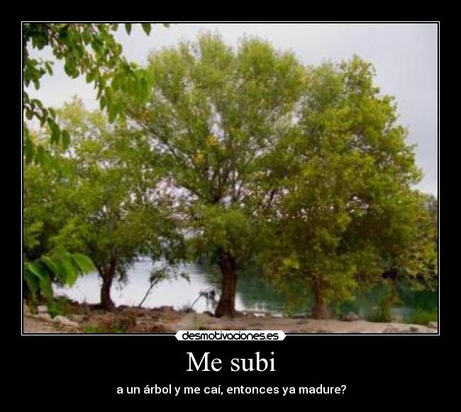 Me subi - a un árbol y me caí, entonces ya madure?