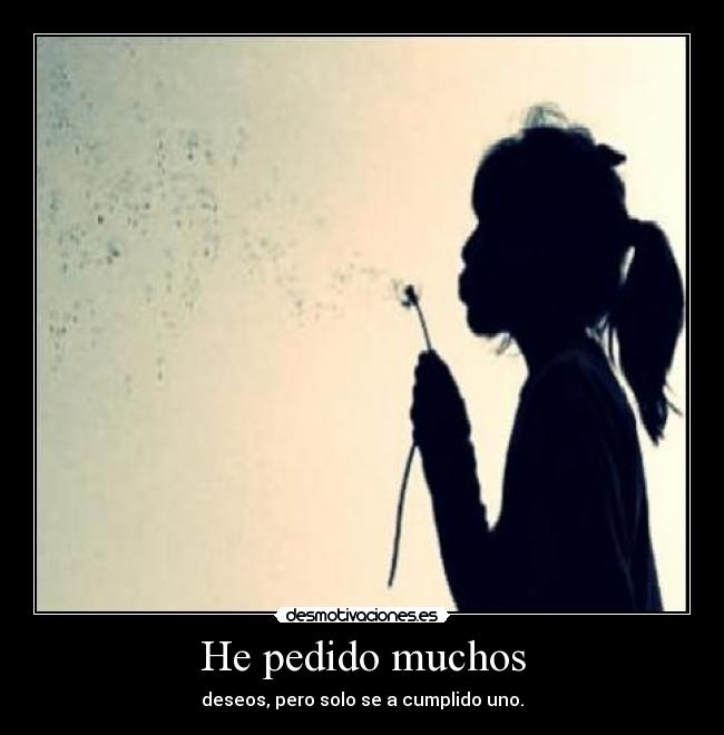 He pedido muchos -