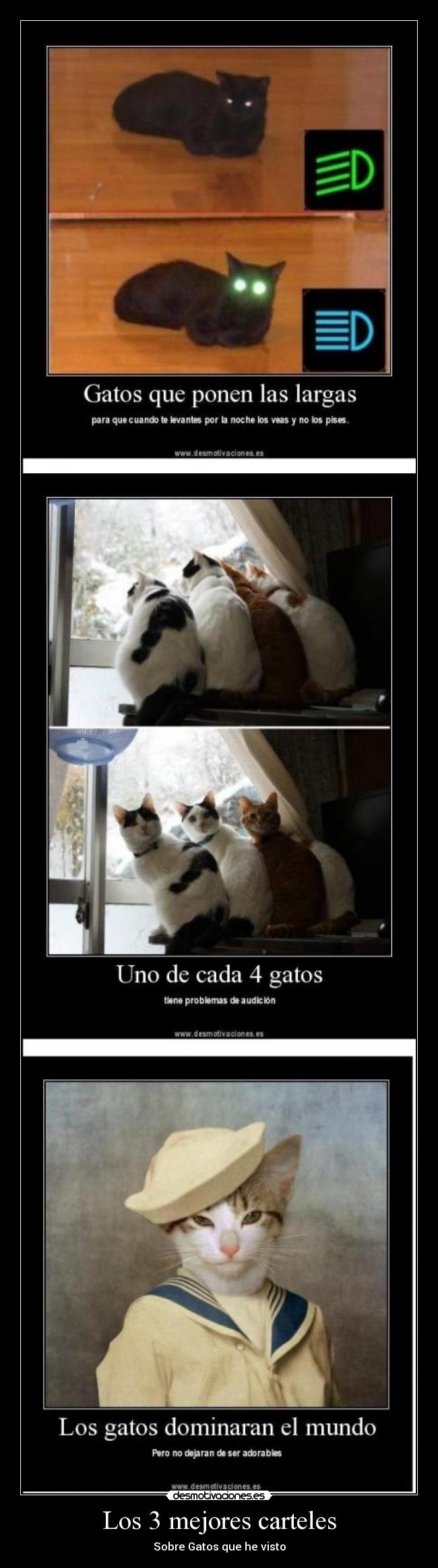 Los 3 mejores carteles - Sobre Gatos que he visto