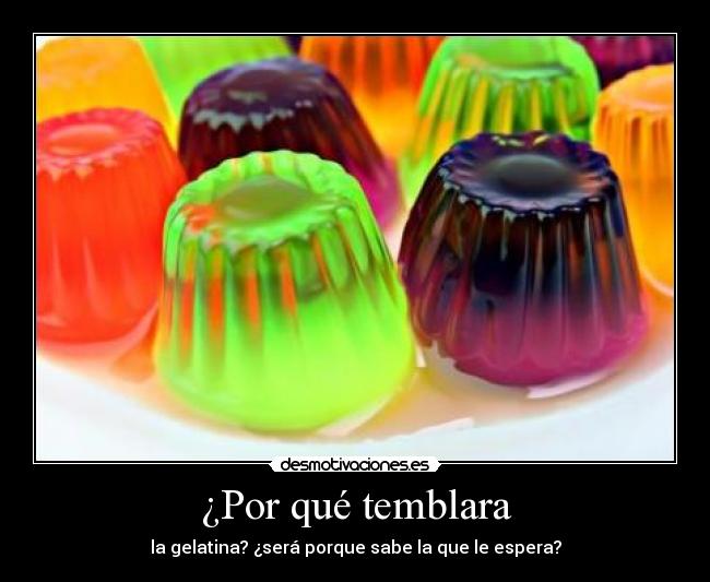 ¿Por qué temblara - la gelatina? ¿será porque sabe la que le espera?