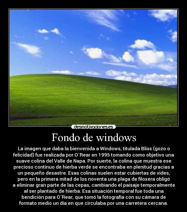 Fondo de windows - La imagen que daba la bienvenida a Windows, titulada Bliss (gozo o
felicidad) fue realizada por O´Rear en 1995 tomando como objetivo una
suave colina del Valle de Napa. Por suerte, la colina que muestra ese
precioso continuo de hierba verde se encontraba en plenitud gracias a
un pequeño desastre. Esas colinas suelen estar cubiertas de vides,
pero en la primera mitad de los noventa una plaga de filoxera obligó
a eliminar gran parte de las cepas, cambiando el paisaje temporalmente
al ser plantado de hierba. Esa situación temporal fue toda una
bendición para O´Rear, que tomó la fotografía con su cámara de
formato medio un día en que circulaba por una carretera cercana.
