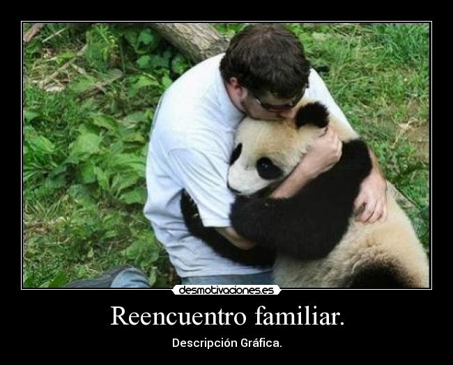 Reencuentro familiar. - Descripción Gráfica.