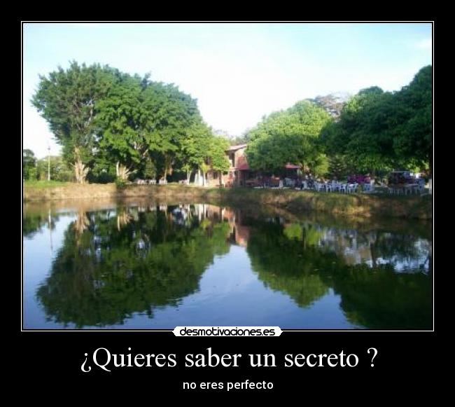 carteles you are what you are desmotivaciones