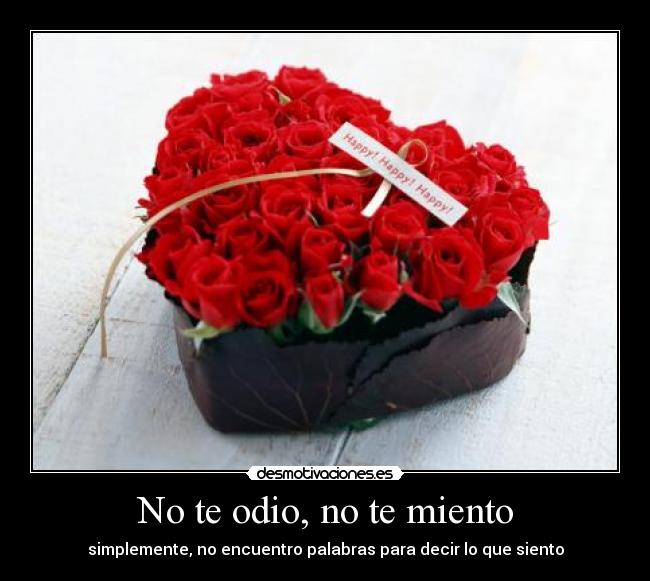 No te odio, no te miento - simplemente, no encuentro palabras para decir lo que siento